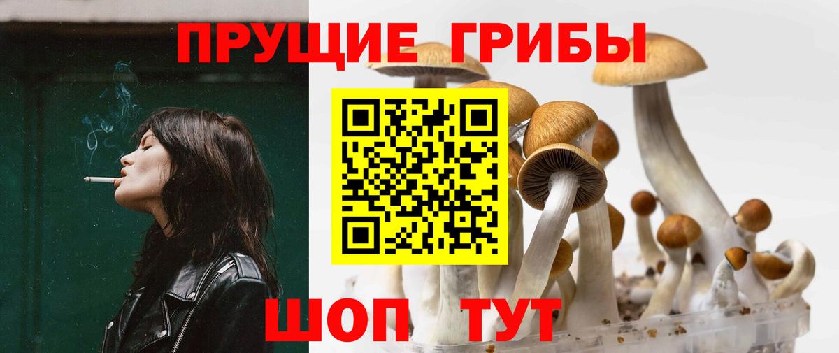 Владивосток  Галлюциногенные грибы MAGIC MUSHROOMS  Галлюциногенные грибы прущие грибы  Вход с VPN 